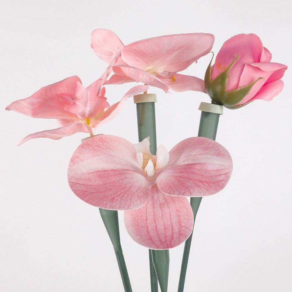 The Florist Supply Shop - Çiçek Koruyucu Tüpler Şeffaf Plastik Şişeler