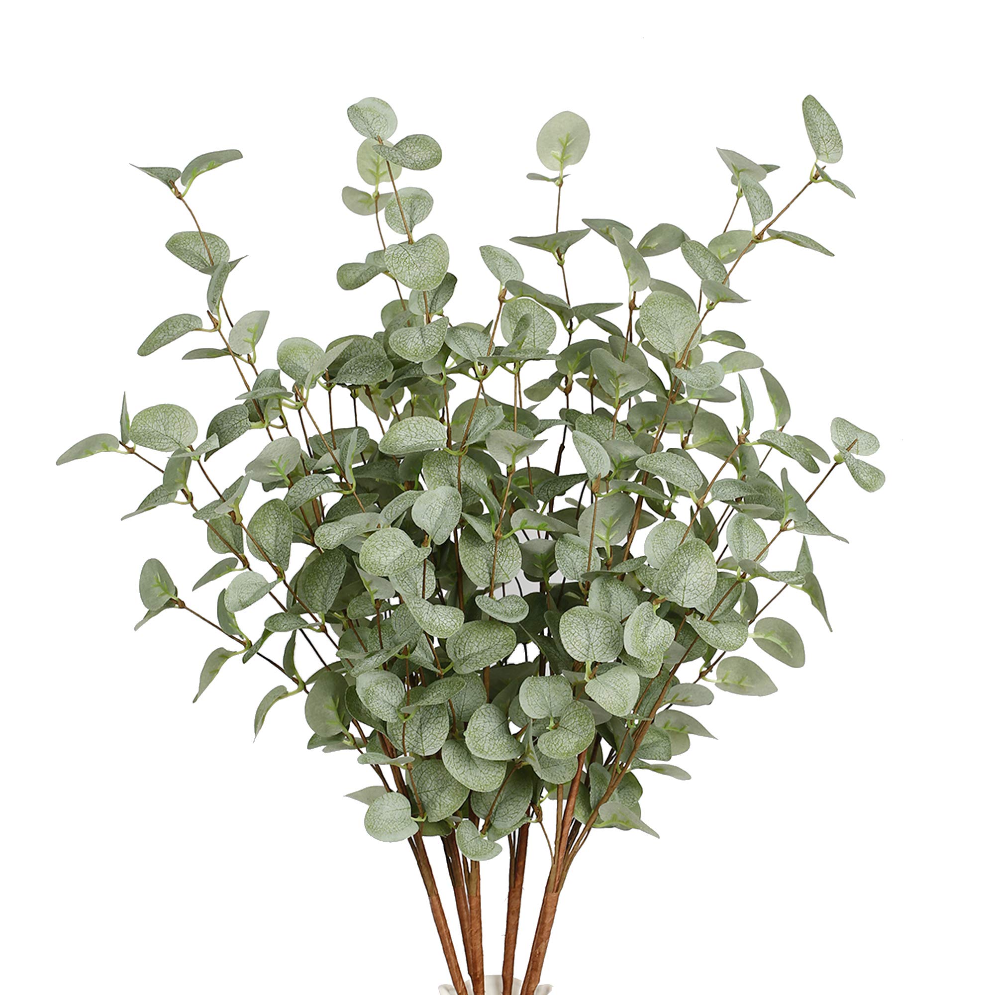 Sahte Okaliptüs Sapları Yapay  - Eucalyptus Preserved incelemesi ve fiyatı
