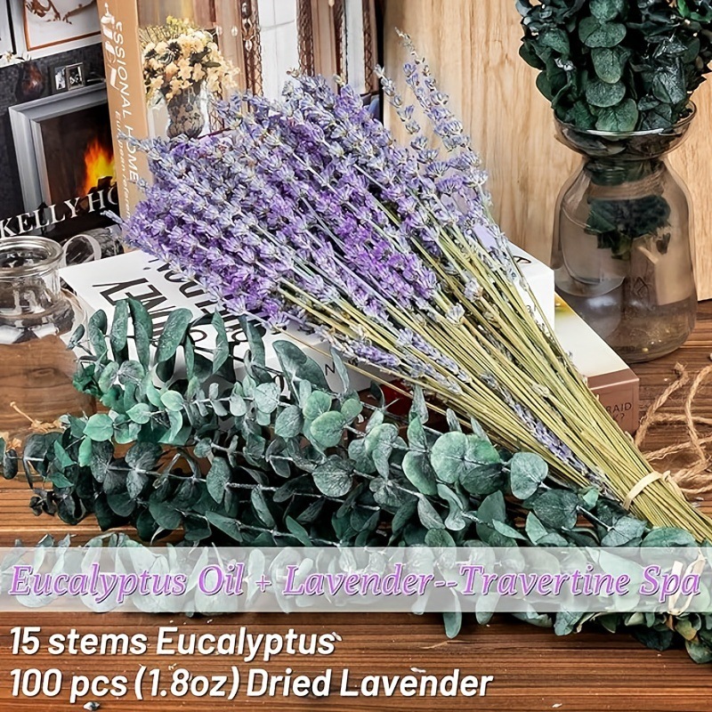 Kurutulmuş Lavanta ve Okaliptü - Eucalyptus Preserved incelemesi ve fiyatı